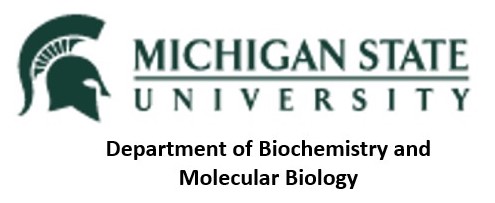Michigan State University, Dept. BioChem MolBiol