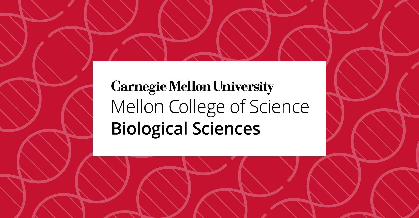 CarnegieMellonUniv MellonCollegeScience