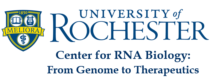 U of Rochester RNA Biology