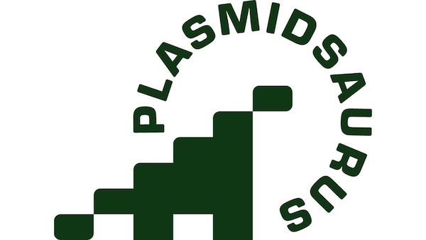 plasmidsaurus